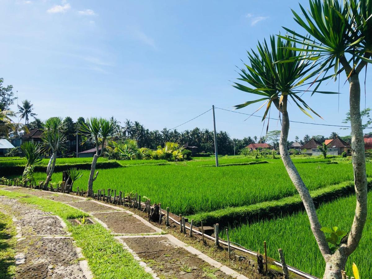 Villa Jj And Spa Ubud Exterior foto