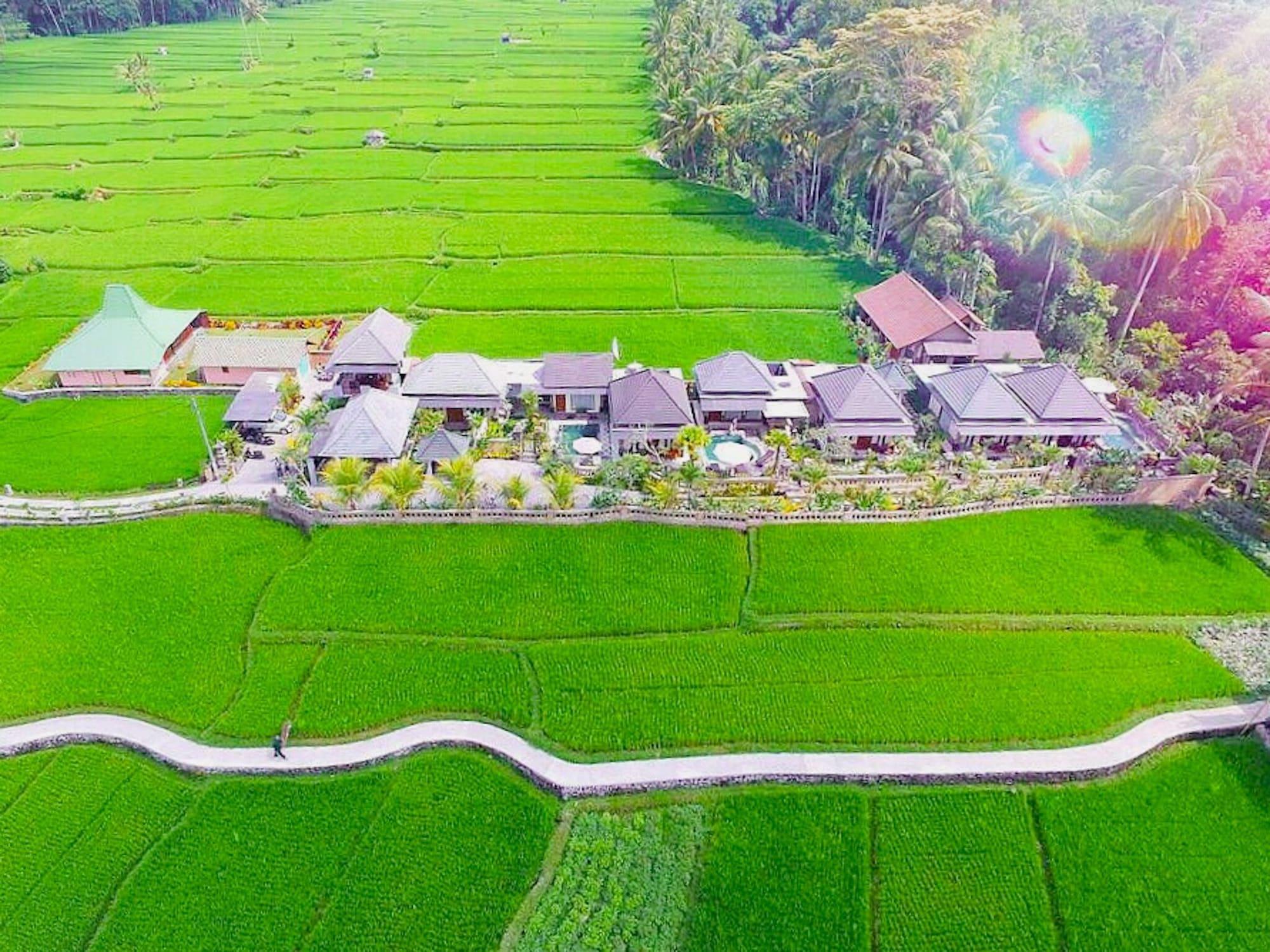 Villa Jj And Spa Ubud Exterior foto